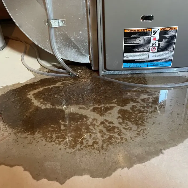 Pipe Burst and Leak Restoration in Grosse Pointe Park, MI