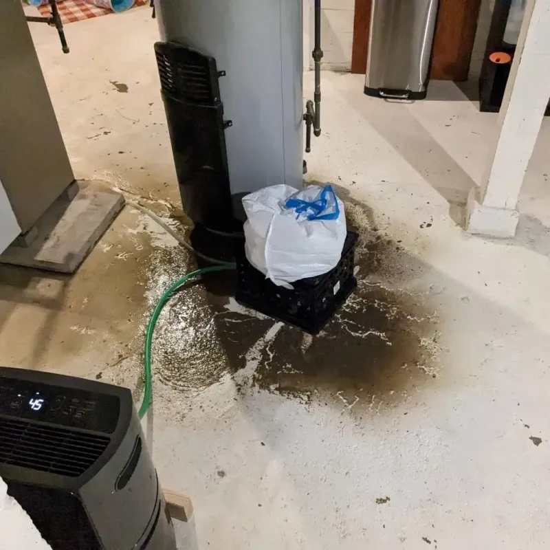 Sewage Backup Cleanup Service in Grosse Pointe Park, MI
